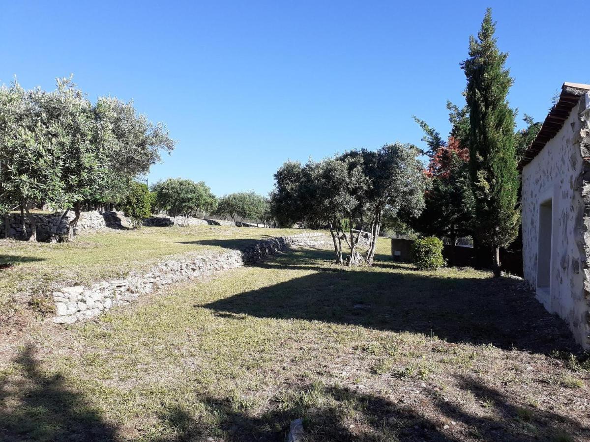 La Bastide Des Selves Bed and Breakfast Draguignan Eksteriør billede